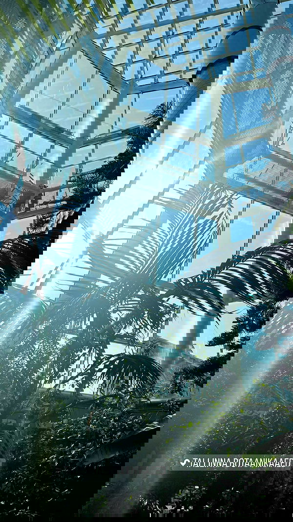 imalovesosa imalovesosa archive image