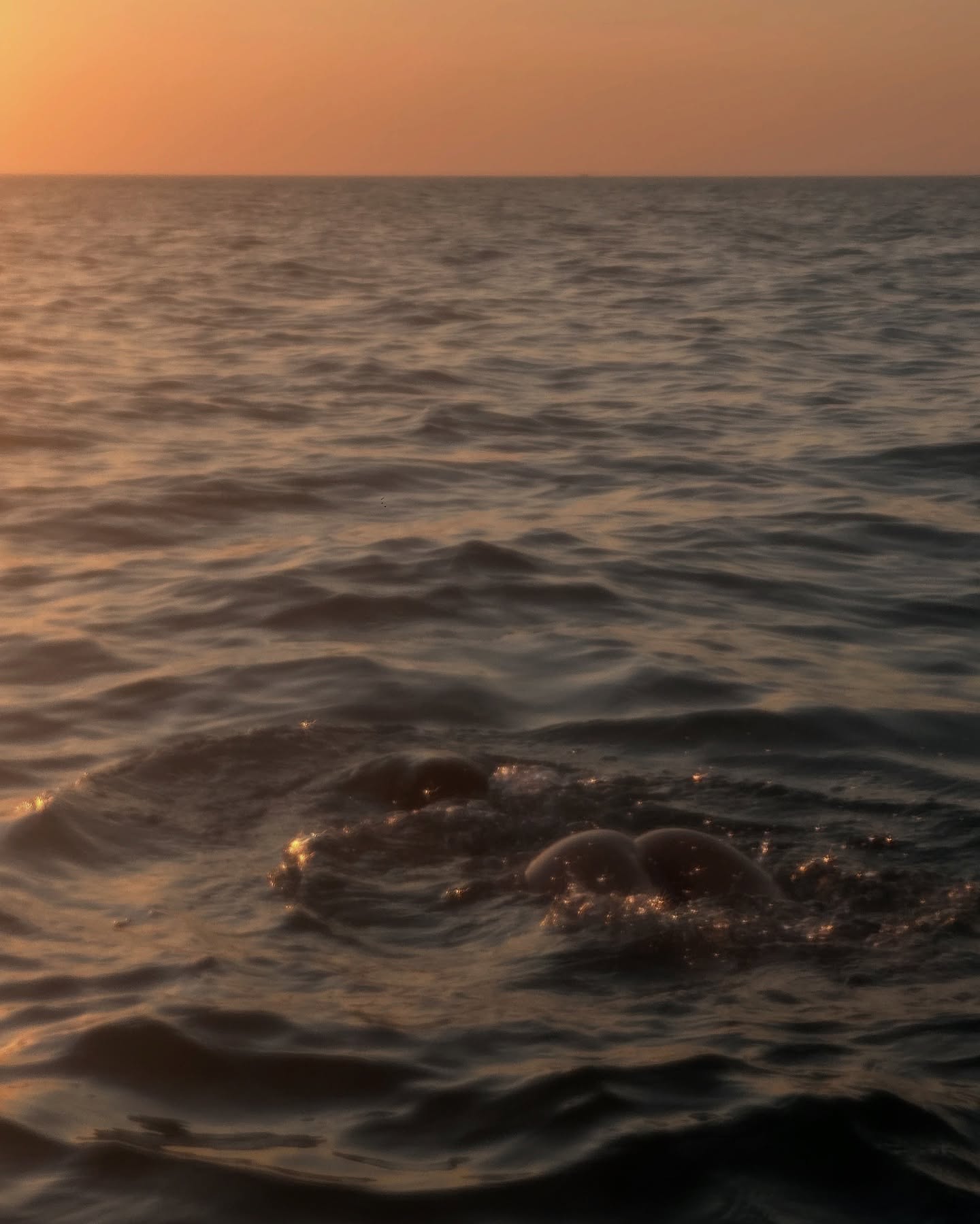 kkulakovaa instagram image archive image