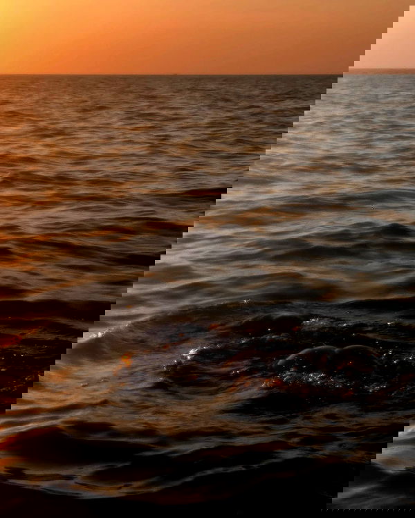 kkulakovaa image ~ Altpins