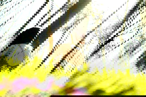 vvvierness vvvierness archive image