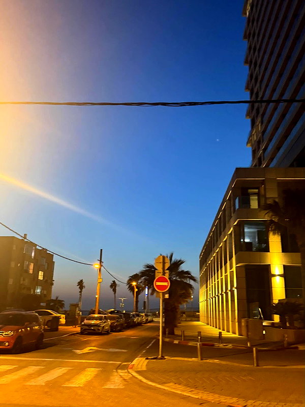 tirtza_cohen instagram image archive image