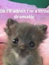 machine_mommy Altpins Profile Picture