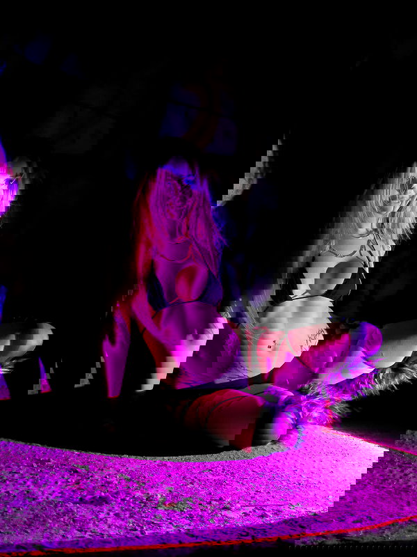 pixelpuppi pixelpuppi archive image