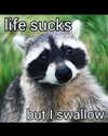 milkiwifey Altpins Profile Picture
