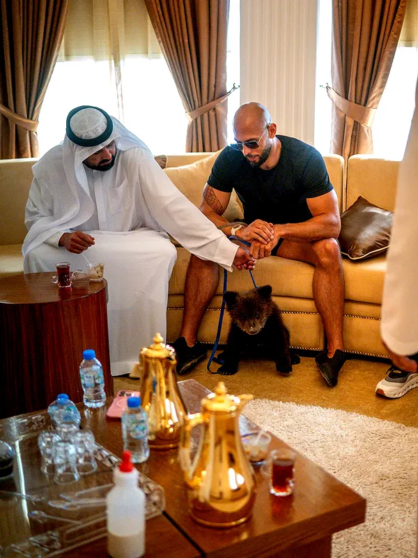 tateauraa tateauraa archive image