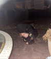 _urbaneva Altpins Profile Picture