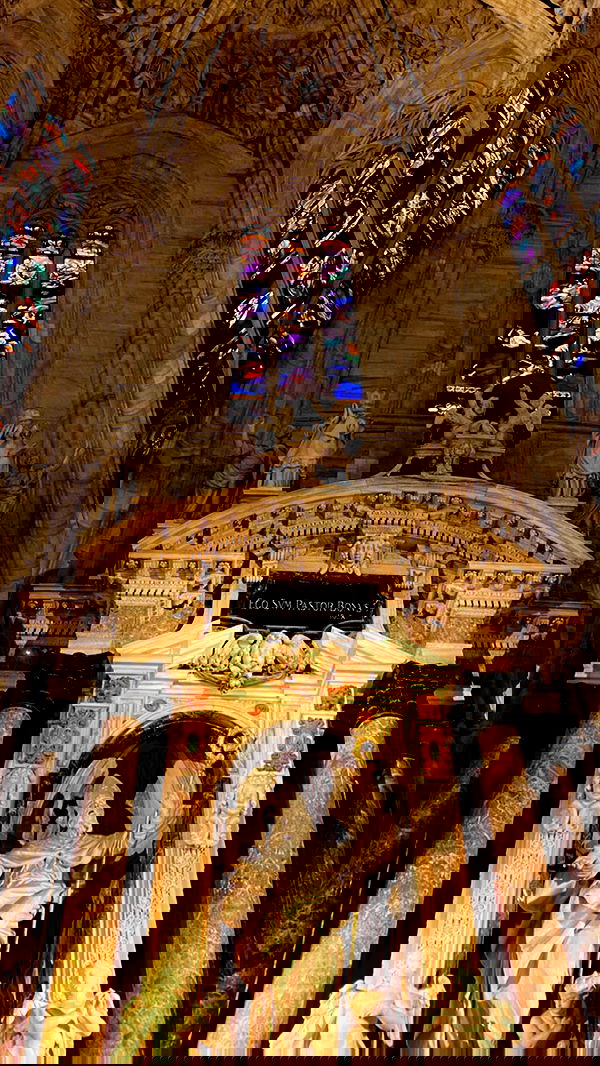 taylor.creeden taylor.creeden archive image