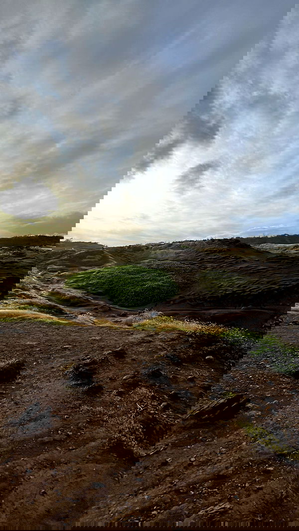 zommmbri zommmbri archive image