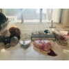 katehudson Altpins Profile Picture