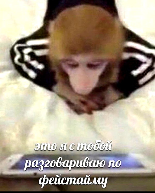 ptpchik instagram image archive image