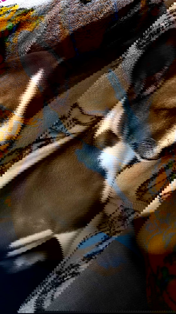 bbyerikss bbyerikss archive image