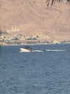 alma_ck_ Altpins Profile Picture