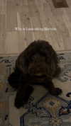 katelynernst3 Altpins Profile Picture