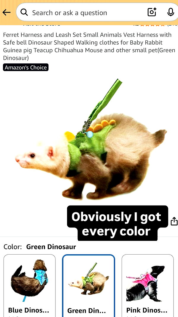gabbyepstein archive image