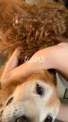analuvillarreal Altpins Profile Picture