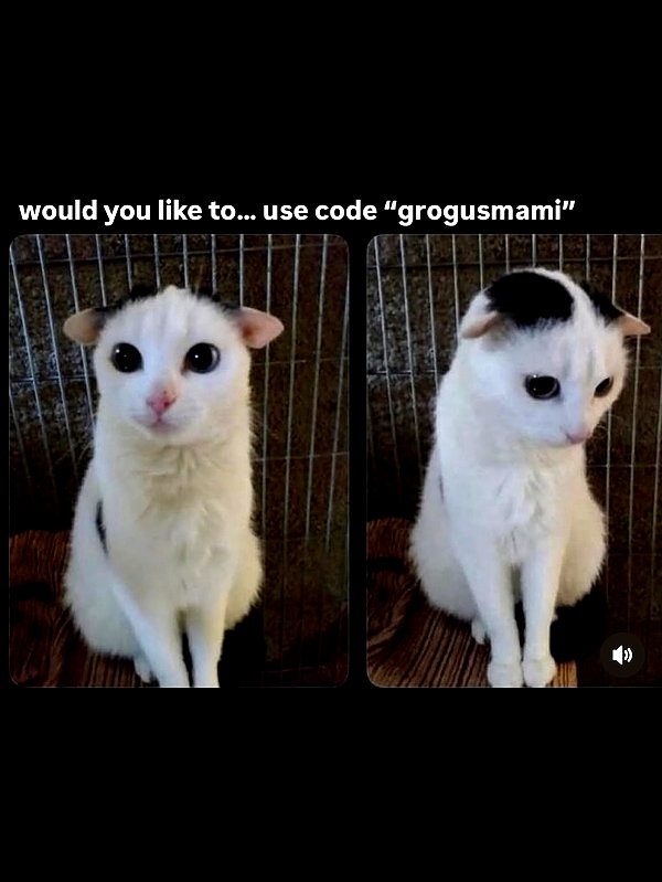 grogusmami instagram image archive image