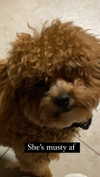 violetpau_ Altpins Profile Picture
