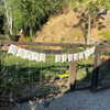 lucyhale Altpins Profile Picture