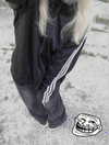 meeowqx Altpins Profile Picture