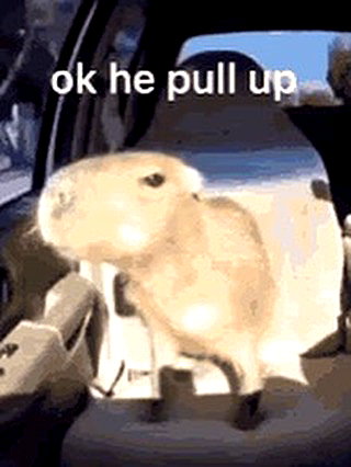 catl0verr69 instagram image archive image