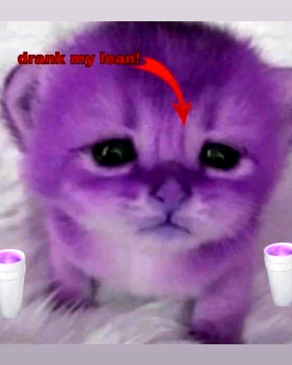 catl0verr69 instagram image archive image
