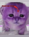 catl0verr69 Altpins Profile Picture