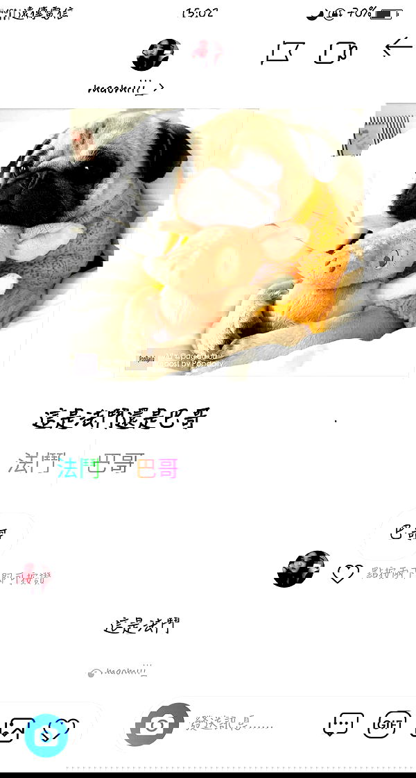 ting851204 ting851204 archive image