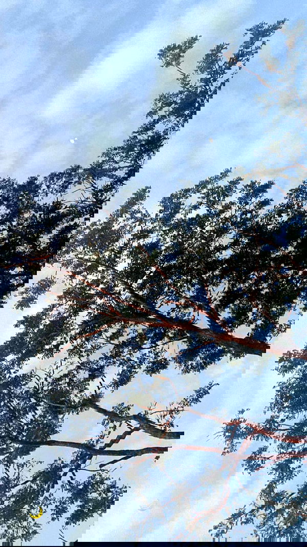 taylor.creeden taylor.creeden archive image