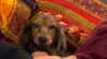 libby_reut Altpins Profile Picture