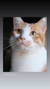 jiw_____n Altpins Profile Picture