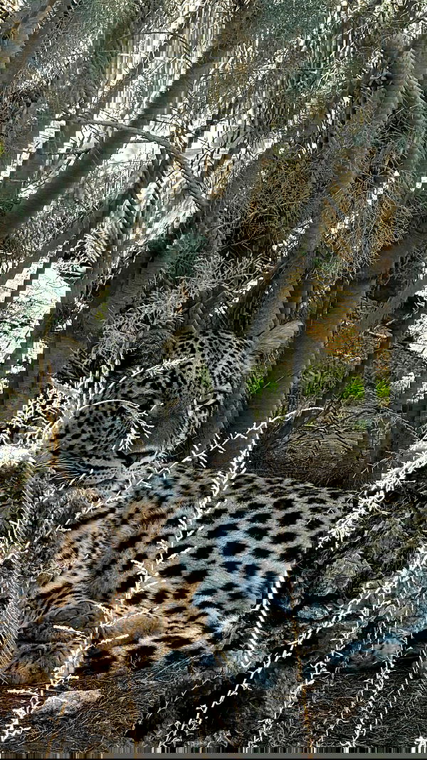 efrat_elmalich efrat_elmalich archive image