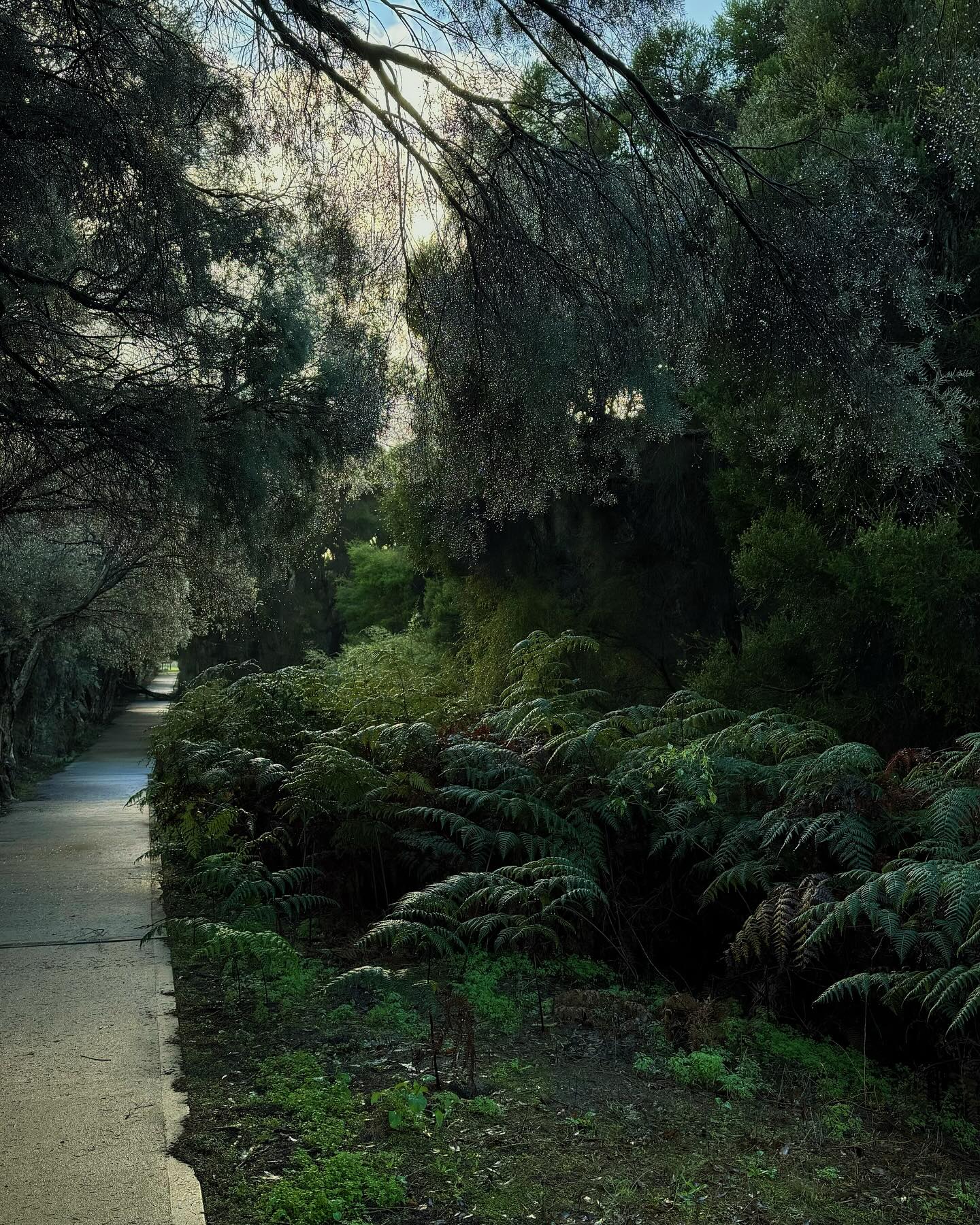 jtilb2 instagram image archive image