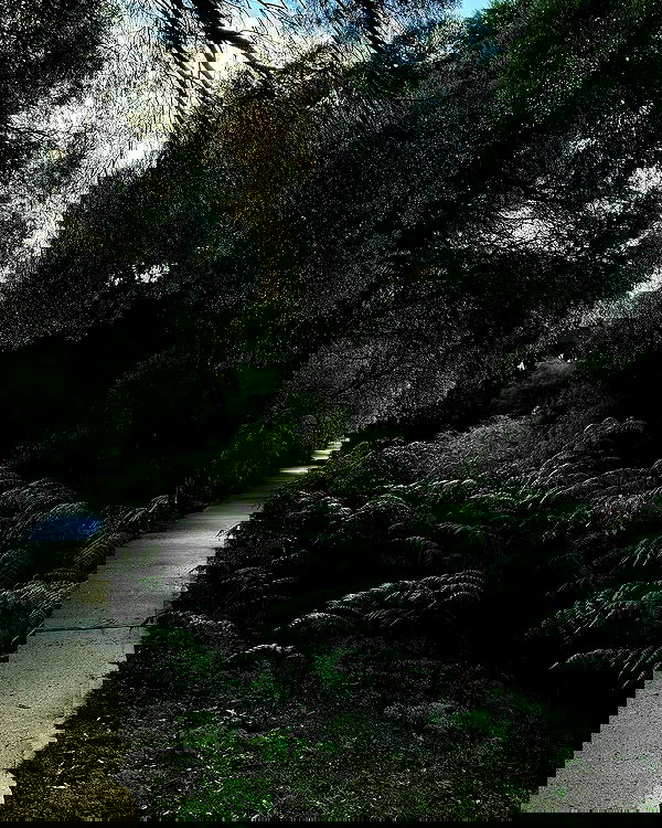 jtilb2 image ~ Altpins