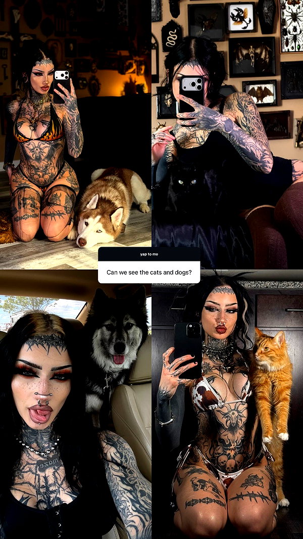 m0rguekittyy instagram image archive image