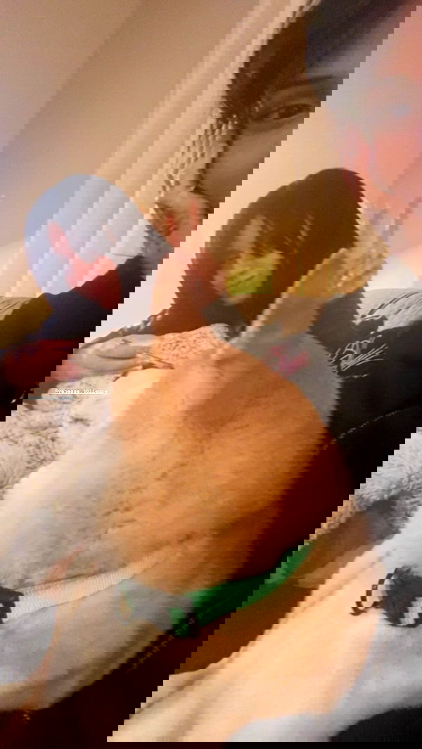 zommmbri zommmbri archive image