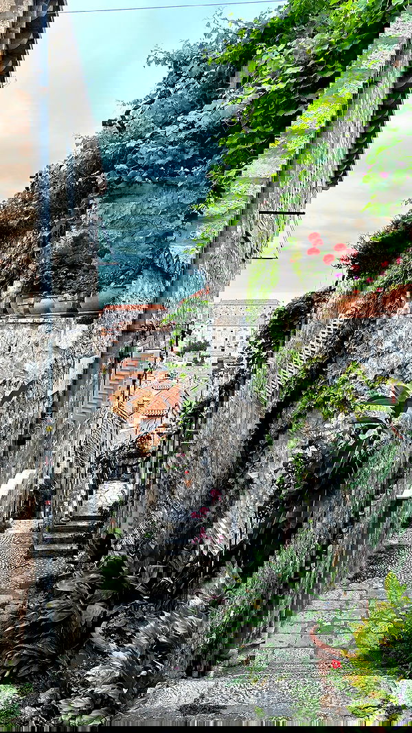 taylor.creeden taylor.creeden archive image