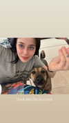 liashaked Altpins Profile Picture