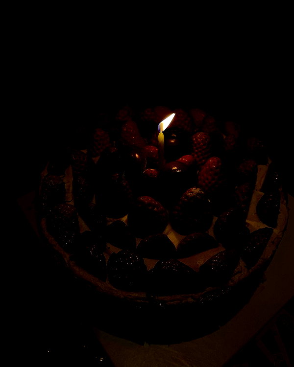 kelseydopegal instagram image archive image