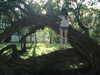 teakitten_ Altpins Profile Picture