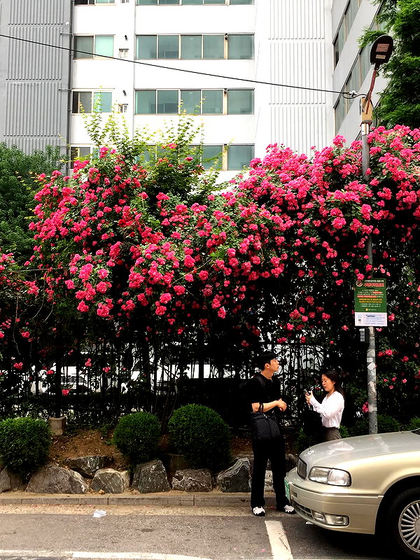 tgiangya instagram image archive image