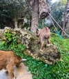_mashachka_ Altpins Profile Picture