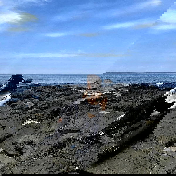 ting851204 ting851204 archive image