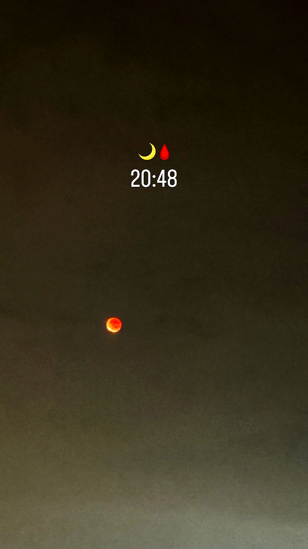 ancideja instagram image archive image