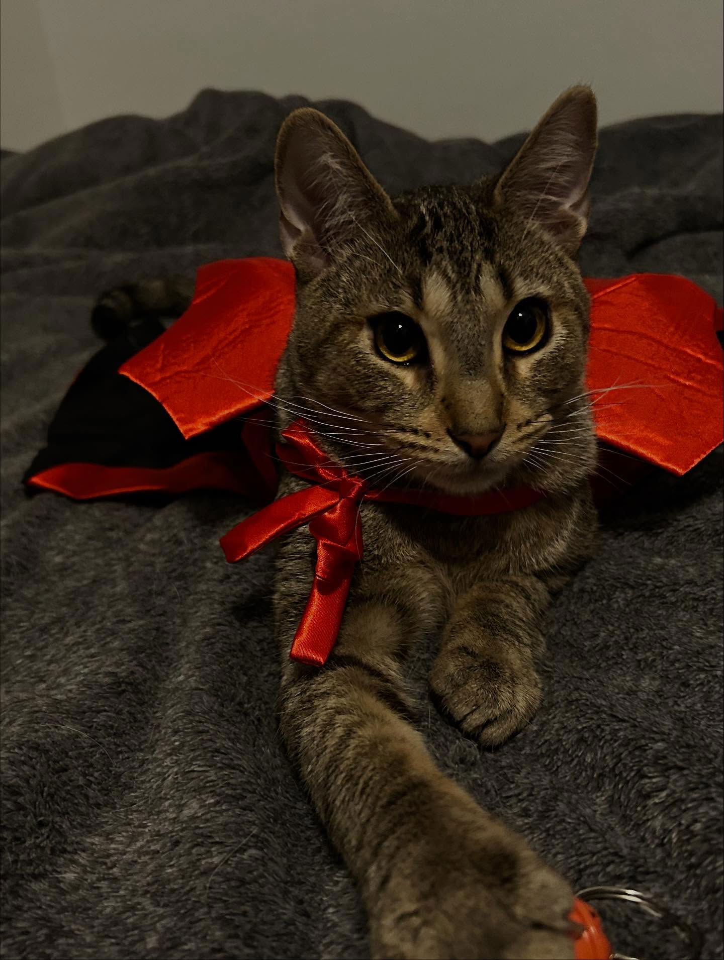 _animechika_ instagram image archive image