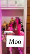lilly.chann_ Altpins Profile Picture