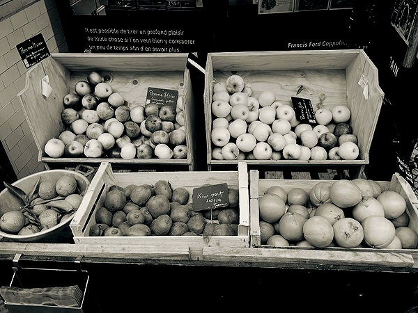 elia.shinar instagram image archive image