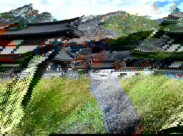 laurinchhhe laurinchhhe archive image