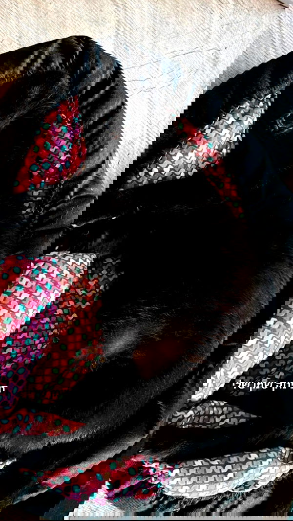 mishel116 mishel116 archive image