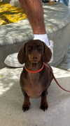 maya.keyy Altpins Profile Picture