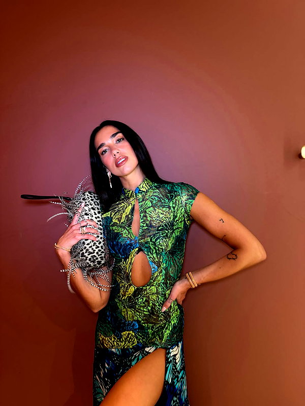 dualipa instagram image archive image